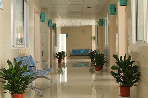 養(yǎng)老院老年人文化娛樂(lè)活動(dòng)設(shè)計(jì)與實(shí)施